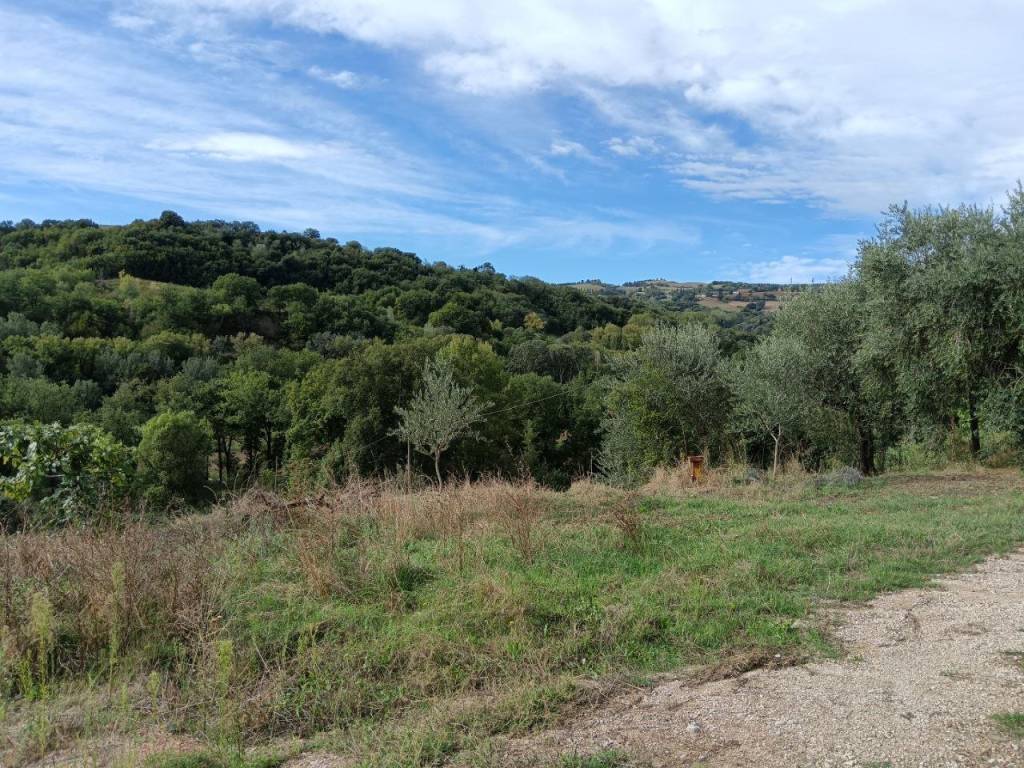 Rustico / casale a Tavoleto in Via Ca' Rio, 1 - Foto 2