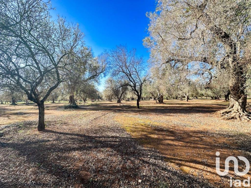 Villa a Francavilla fontana in Frazione Cda Don Giulio - Foto 2