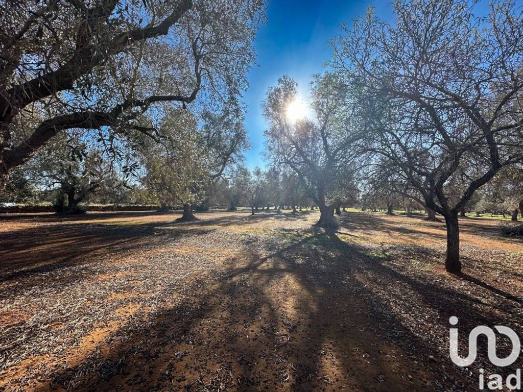 Villa a Francavilla fontana in Frazione Cda Don Giulio - Foto 3