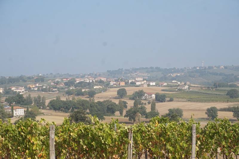 Rustico / casale a Montefalco in Montefalco - Foto 3