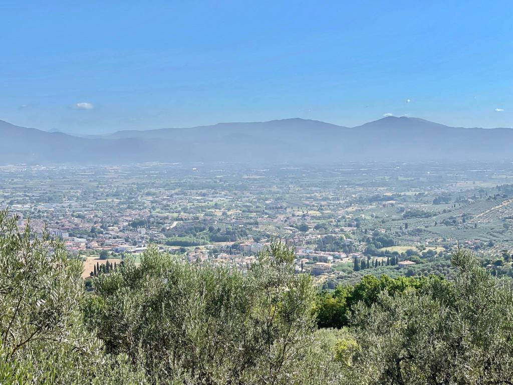 Rustico / casale a Quarrata in Via Carraia, 225 - Foto 2
