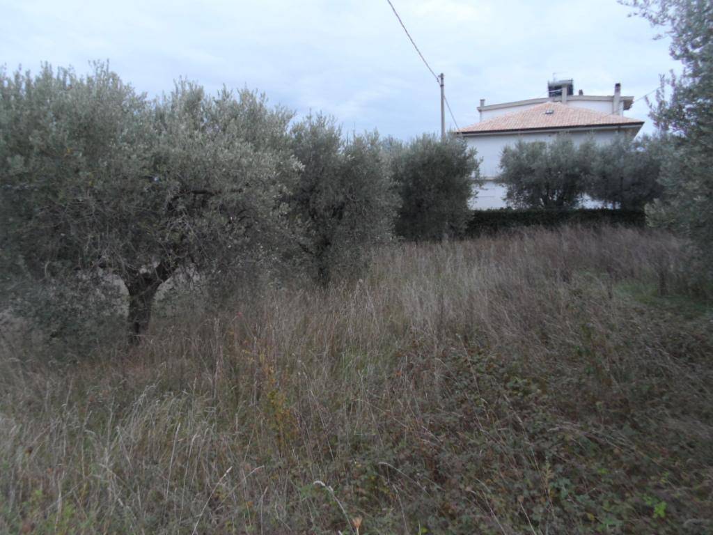 Terreno a Castel di lama in Zona Piattoni - Foto 2