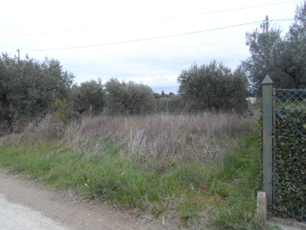 Terreno a Castel di lama in Zona Piattoni - Foto 3