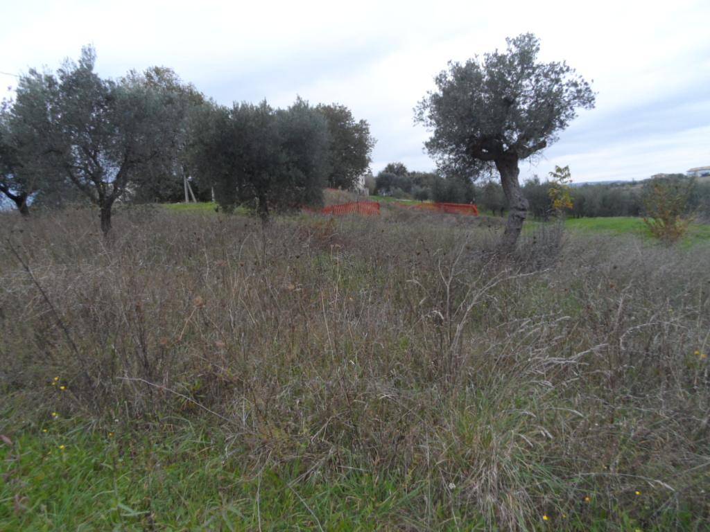 Terreno a Castel di lama in Zona Piattoni - Foto 4