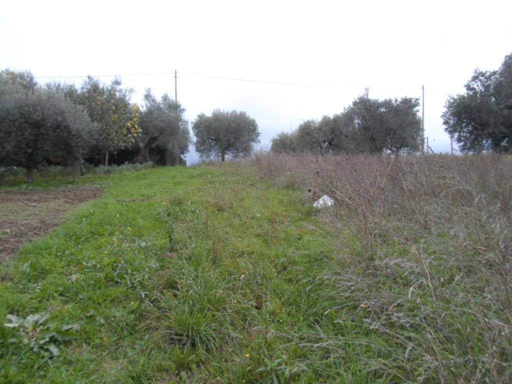 Terreno a Castel di lama in Zona Piattoni - Foto 5
