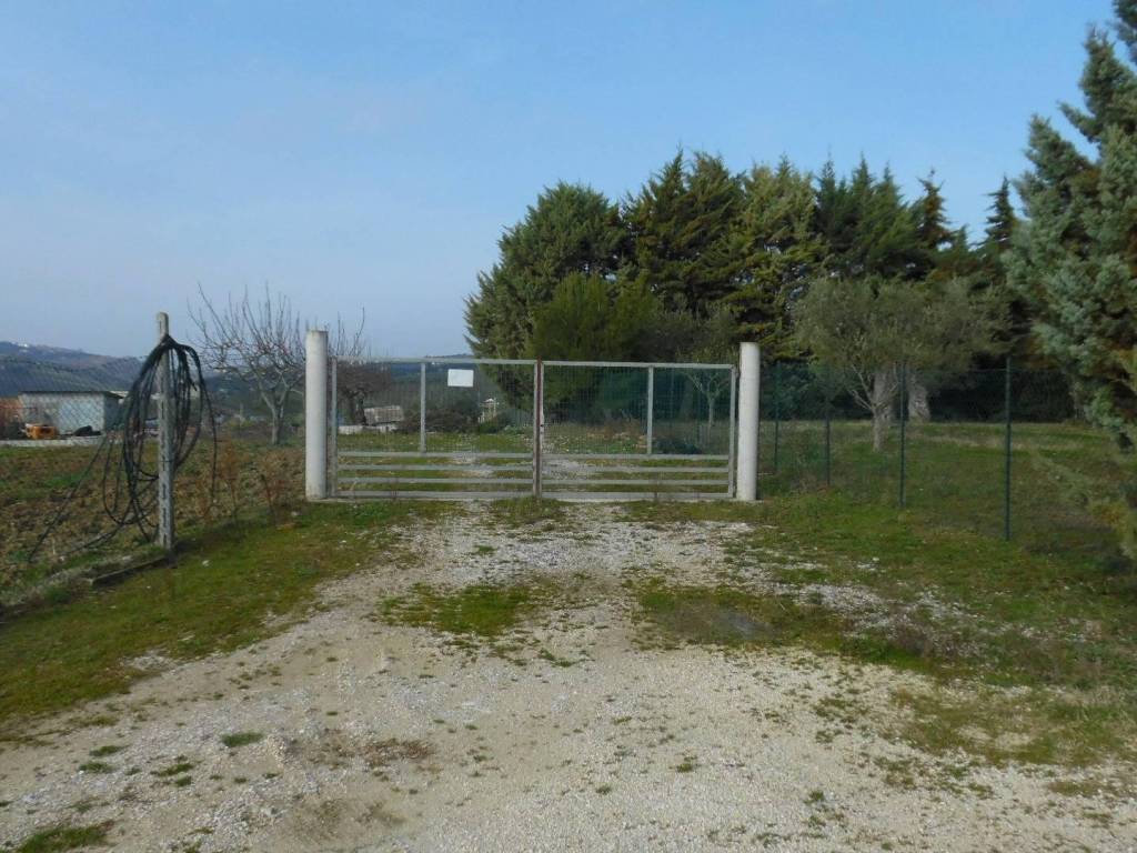 Terreno a Colonnella in Contrada Rio Moro - Foto 4