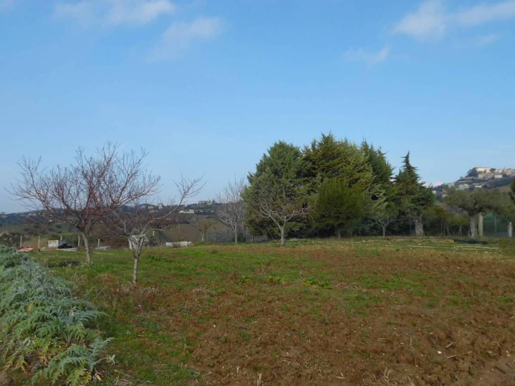 Terreno a Colonnella in Contrada Rio Moro - Foto 5