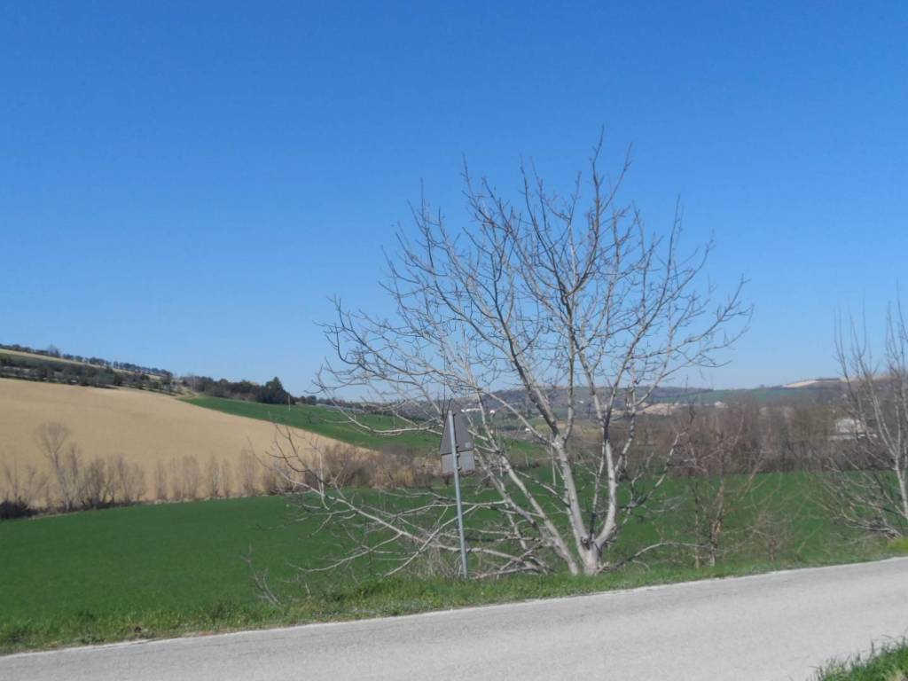 Terreno a Fermo in Contrada Camera di Torre - Foto 2