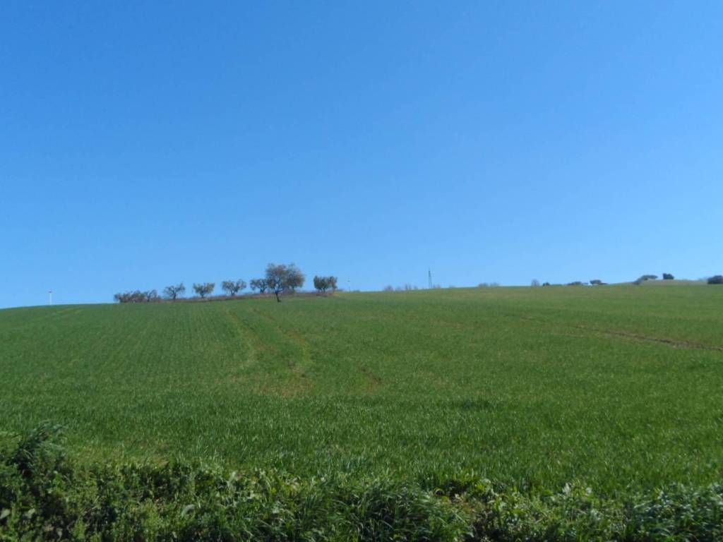 Terreno a Fermo in Contrada Camera di Torre - Foto 3