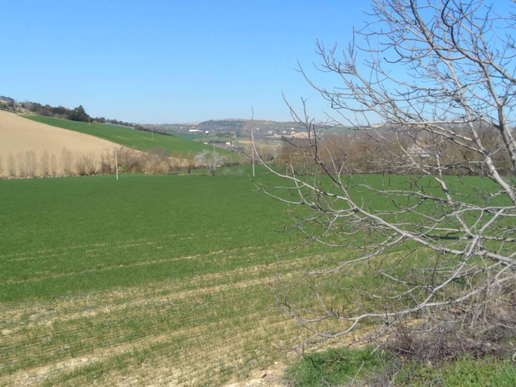 Terreno a Fermo in Contrada Camera di Torre - Foto 4