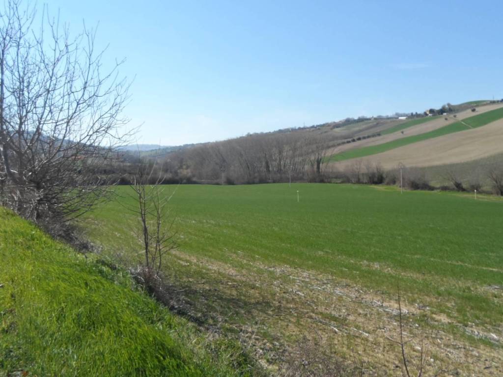 Terreno a Fermo in Contrada Camera di Torre - Foto 5