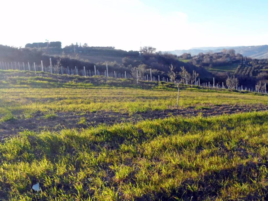Terreno a San benedetto del tronto in Contrada Santa Lucia, 134 - Foto 2