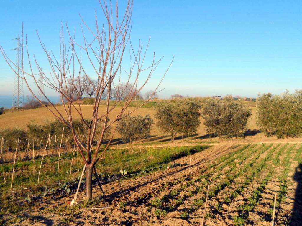 Terreno a San benedetto del tronto in Contrada Santa Lucia, 134 - Foto 3