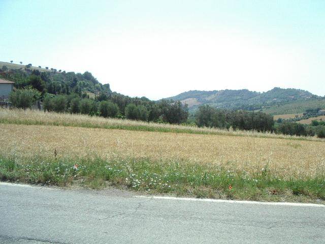 Terreno a Colonnella in Contrada San Martino - Foto 3