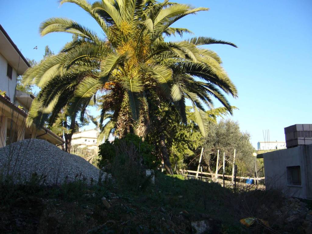 Terreno a Colonnella in Contrada Giardino - Foto 4