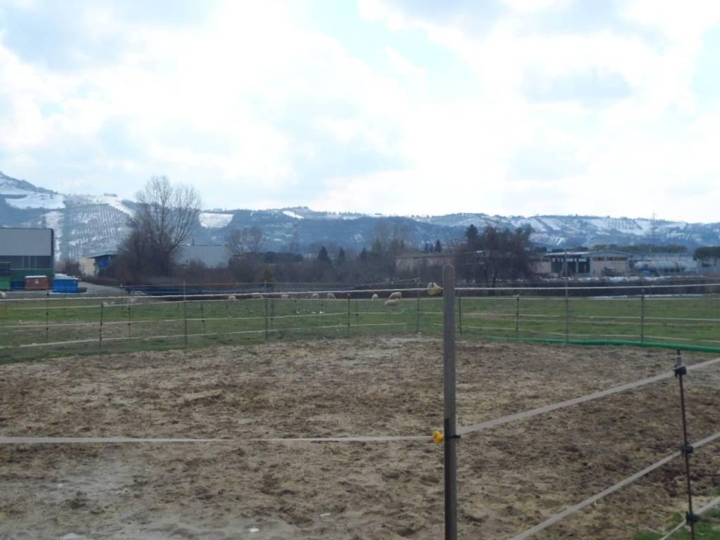 Terreno a Monteprandone in Via del'industria - Foto 3
