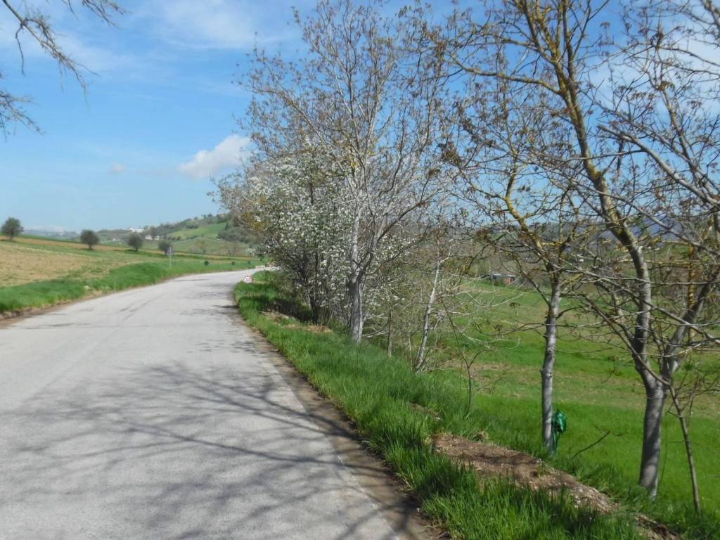 Terreno a Spinetoli in Via Salaria - Foto 3