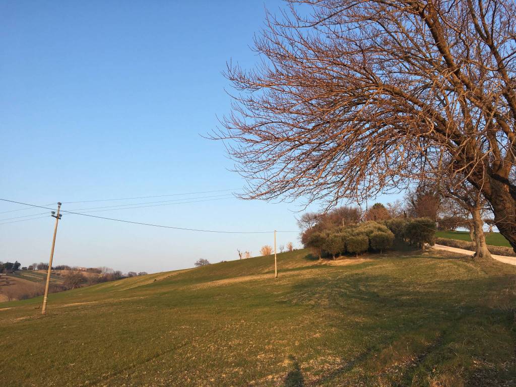 Rustico / casale a Trecastelli in Via Valliscie - Foto 2