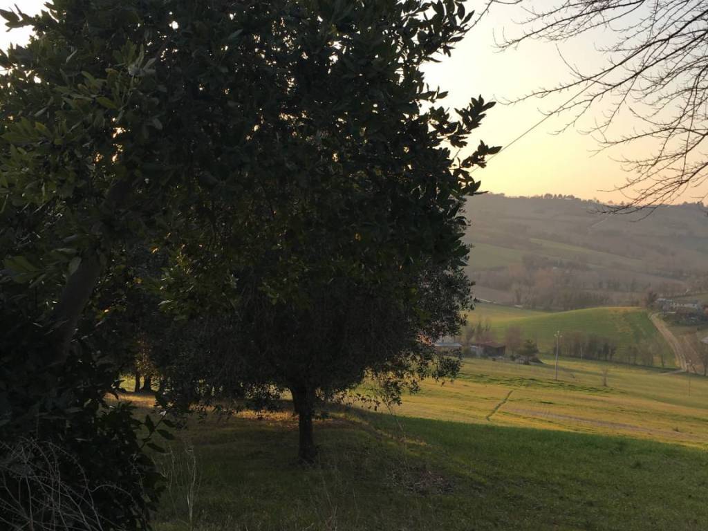 Rustico / casale a Trecastelli in Via Valliscie - Foto 3