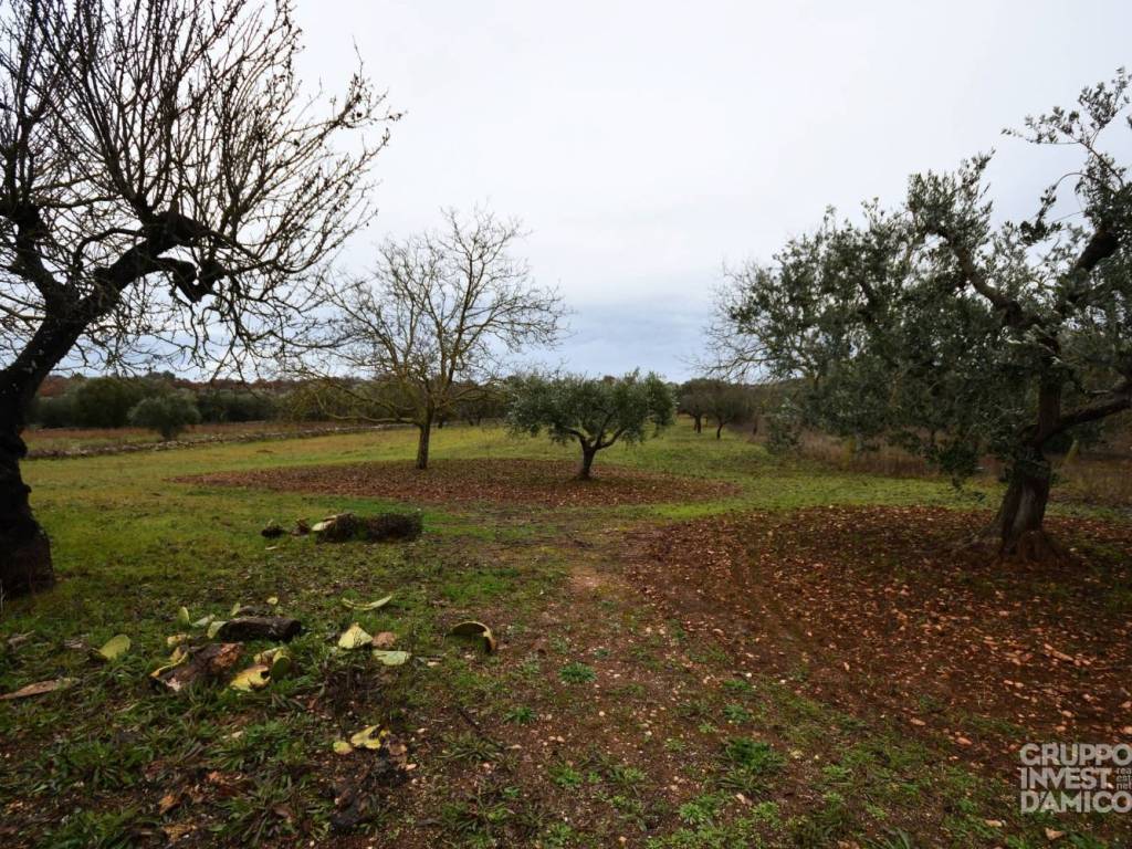 Rustico / casale a Ceglie messapica in Contrada Lamianuova Ceglie Messapica - Foto 4