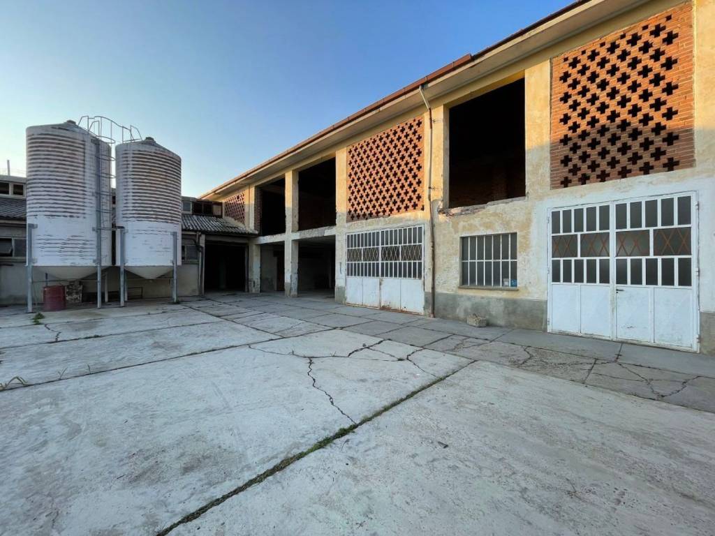 Rustico / casale a Antignano in Statale Alba, 21 - Foto 4