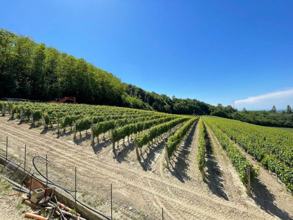 Villa a Loazzolo in SP120, 9 - Foto 2