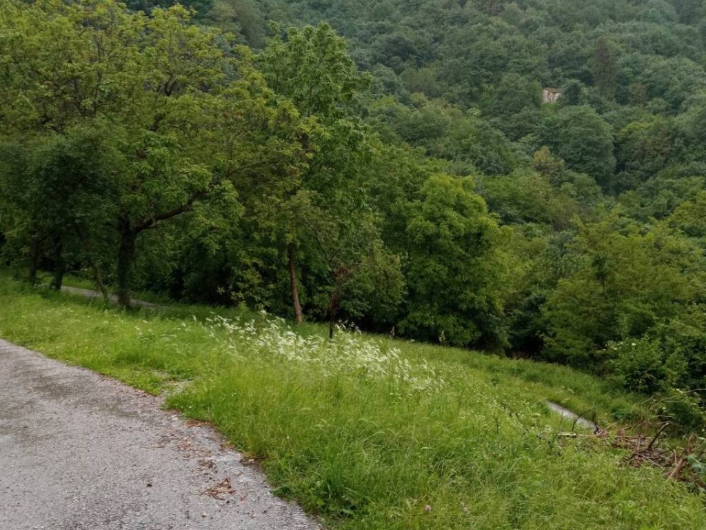 Terreno a Torrebelvicino in via borgofuro - Foto 3