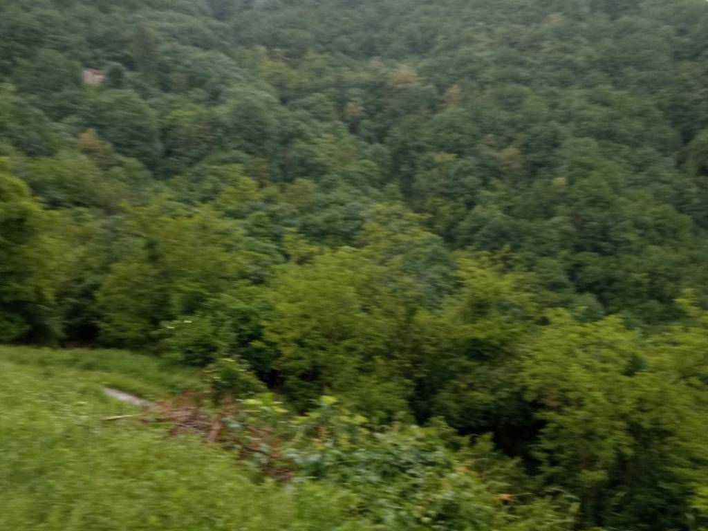 Terreno a Torrebelvicino in via borgofuro - Foto 4