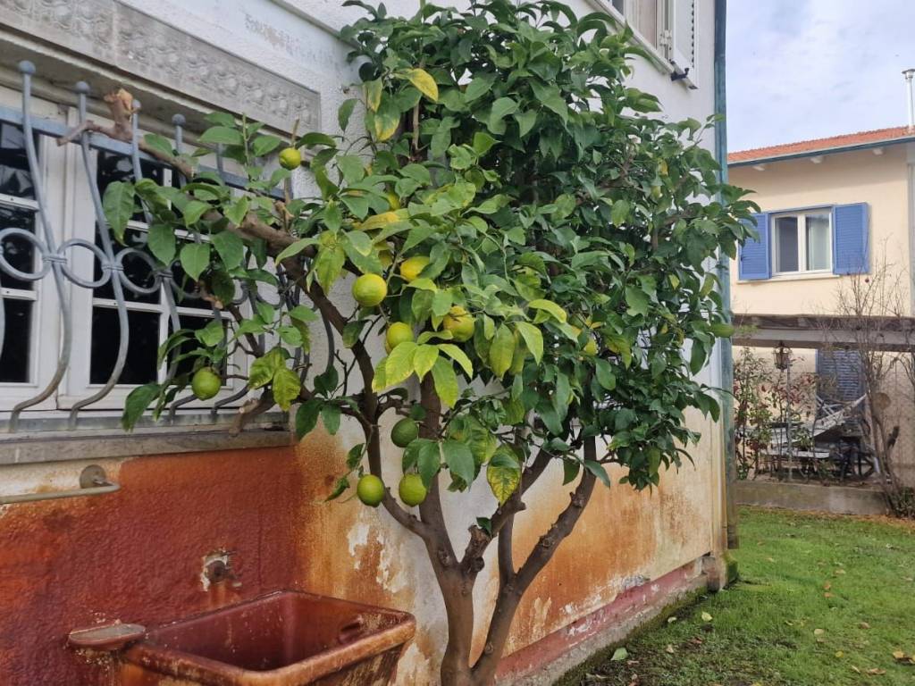 Villa a Viareggio in Via degli Olivi - Foto 5