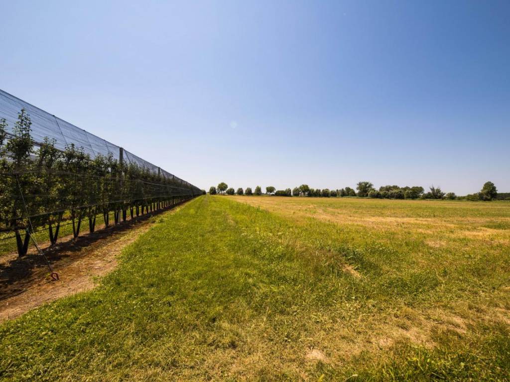 Terreno a Rovigo in VIA LUNGO ARGINE - Foto 2