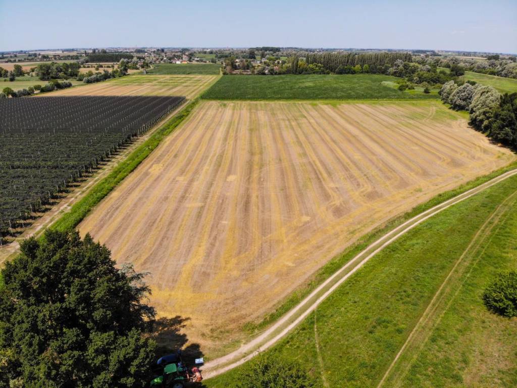 Terreno a Rovigo in VIA LUNGO ARGINE - Foto 3