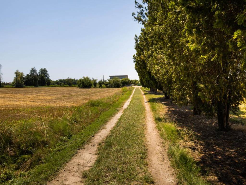 Terreno a Rovigo in VIA LUNGO ARGINE - Foto 5