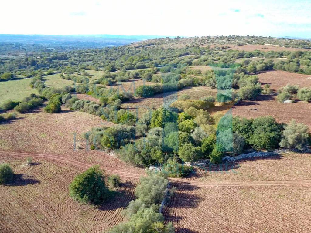 Rustico / casale a Noto - Foto 4