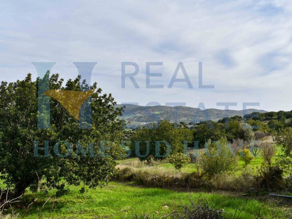 Rustico / casale a Rosolini in Via Roma - Foto 3