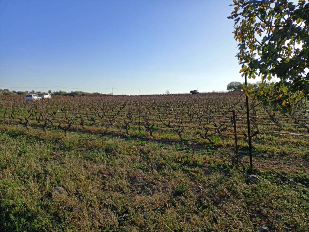 Terreno a Maracalagonis - Foto 3