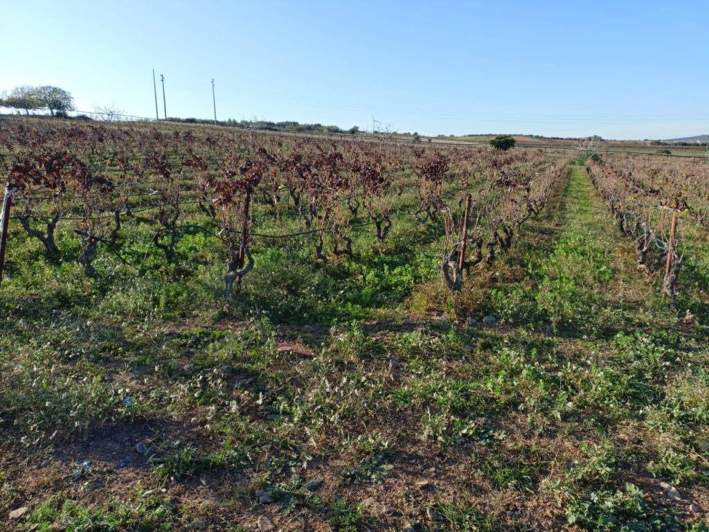 Terreno a Maracalagonis - Foto 4