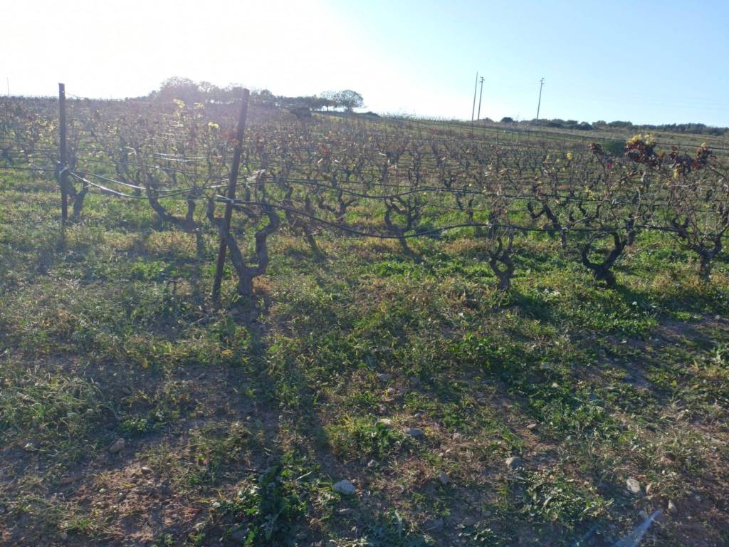 Terreno a Maracalagonis - Foto 5
