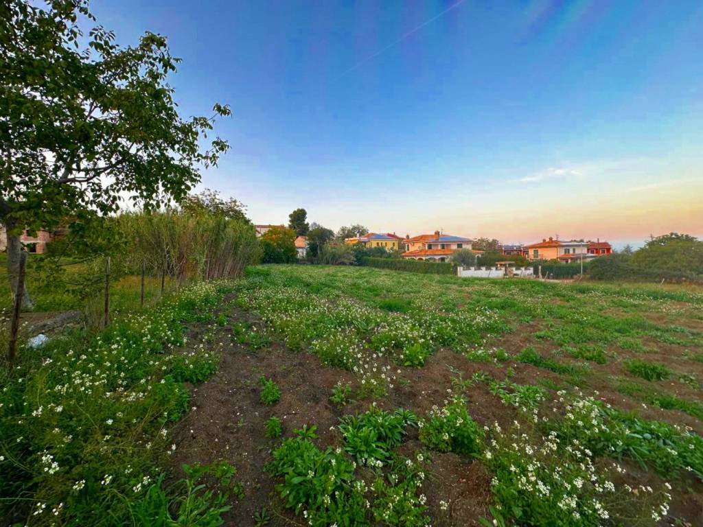 Terreno a Nocciano in Via San Lorenzo - Foto 3