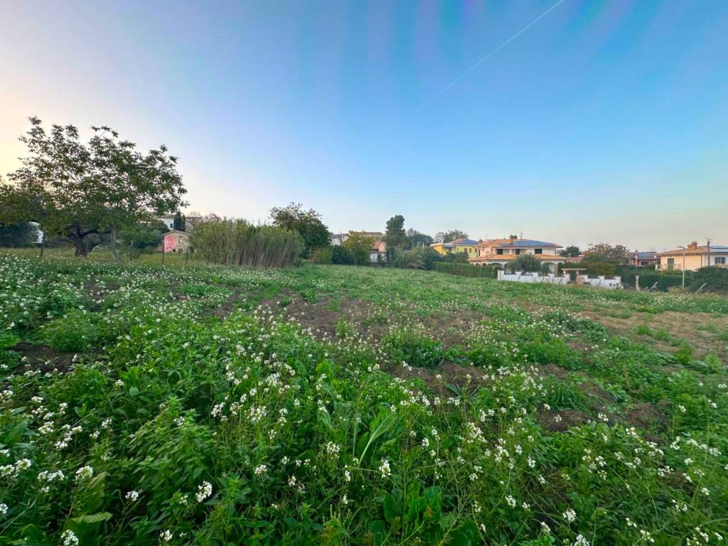Terreno a Nocciano in Via San Lorenzo - Foto 4
