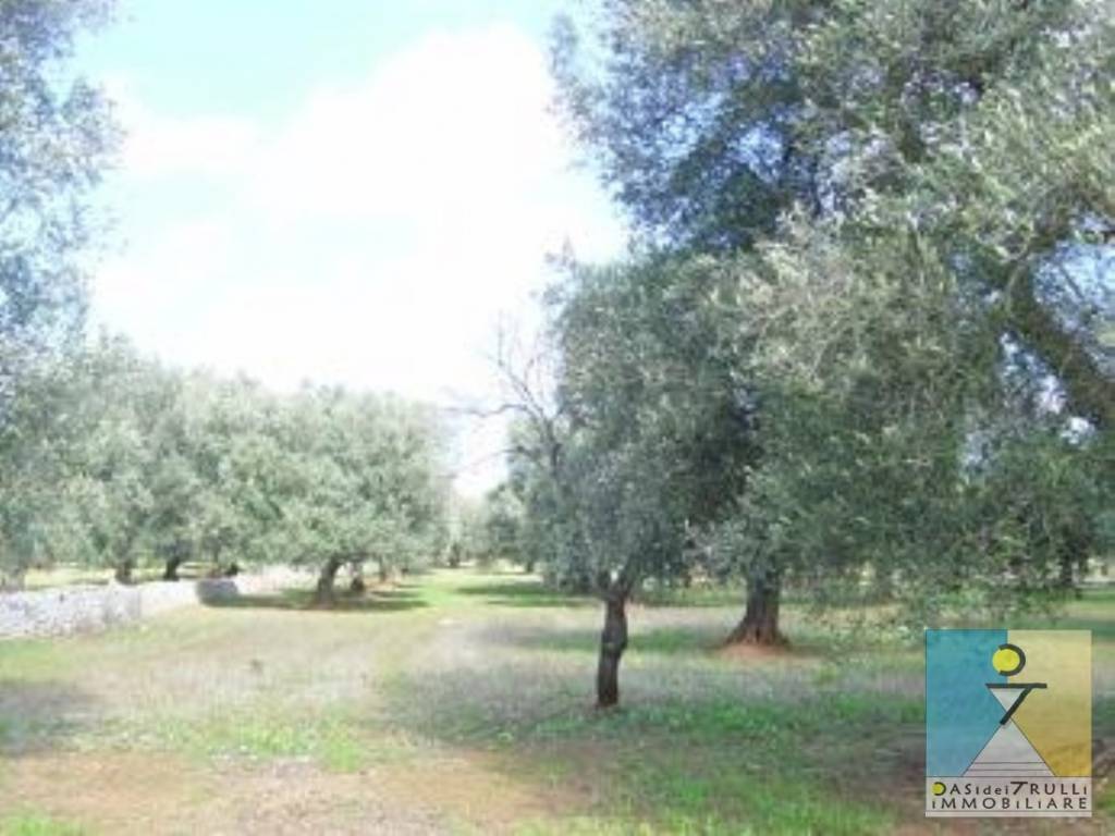 Rustico / casale a San michele salentino in Contrada Sardella - Foto 3