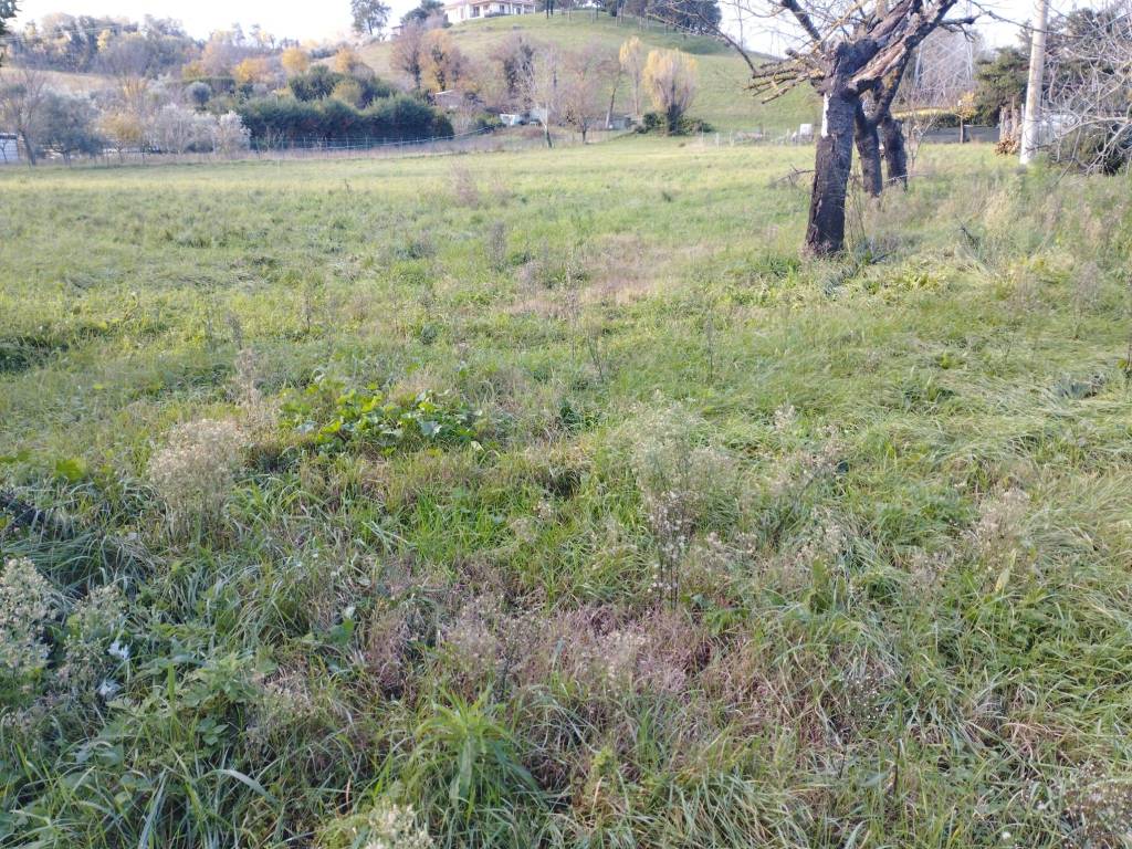 Villa a Pesaro in Strada di Fontesecco - Foto 5