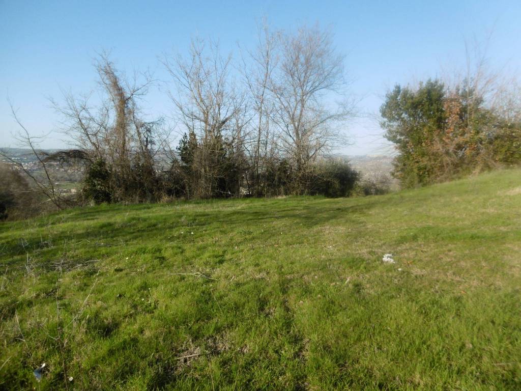 Rustico / casale a Montegranaro in Contrada San Tommaso - Foto 4
