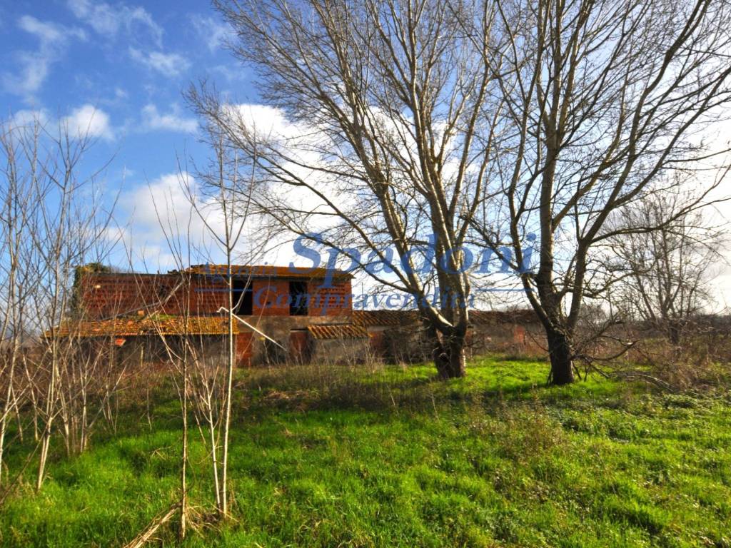 Rustico / casale a Ponte buggianese in Via Capannone - Foto 5