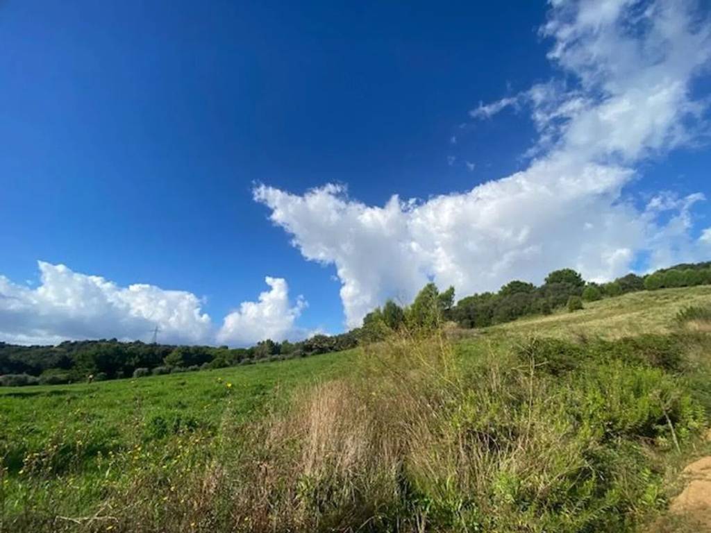 Terreno a Piombino in Località Casone Alla Sughera - Foto 2