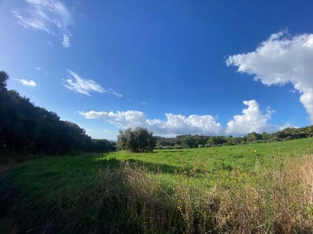 Terreno a Piombino in Località Casone Alla Sughera - Foto 3