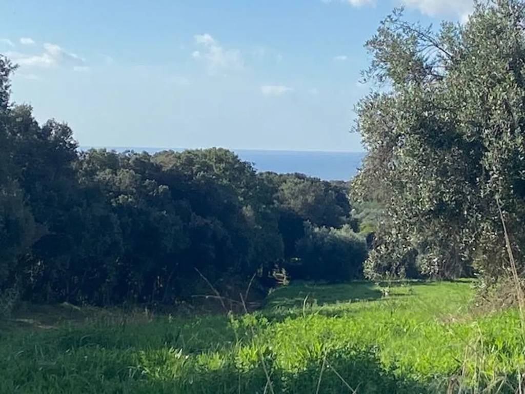 Terreno a Piombino in Località Casone Alla Sughera - Foto 4