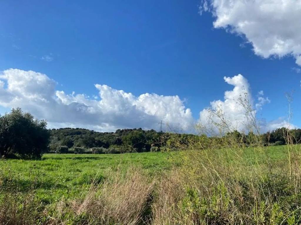 Terreno a Piombino in Località Casone Alla Sughera - Foto 5