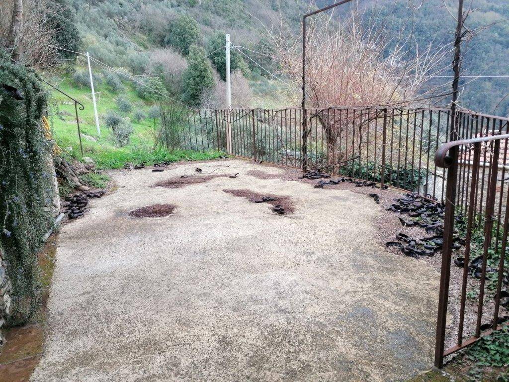 Rustico / casale a Camaiore in Via Metato - Foto 5