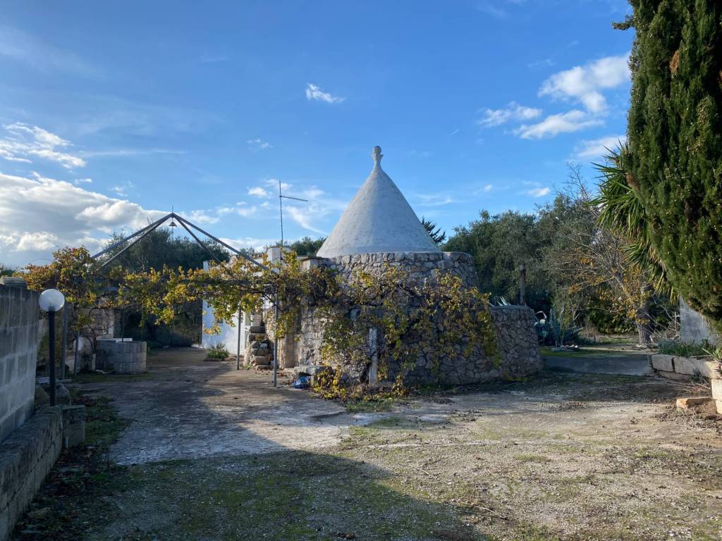 Rustico / casale a Carovigno in c.da Chionna - Foto 2