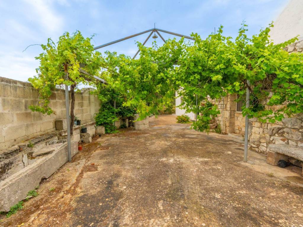 Rustico / casale a Carovigno in c.da Chionna - Foto 3